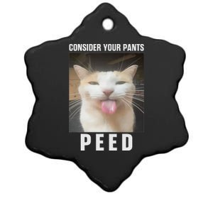 Funny Consider Your Pants Peed Silly Cat Meme Ceramic Star Ornament