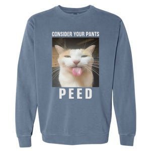 Funny Consider Your Pants Peed Silly Cat Meme Garment-Dyed Sweatshirt