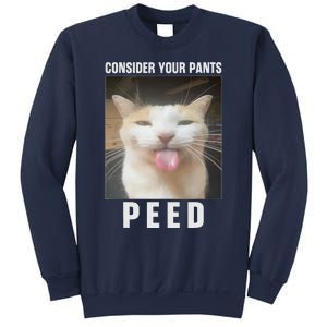 Funny Consider Your Pants Peed Silly Cat Meme Sweatshirt