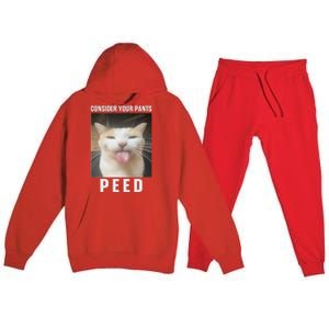 Funny Consider Your Pants Peed Silly Cat Meme Premium Hooded Sweatsuit Set