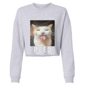 Funny Consider Your Pants Peed Silly Cat Meme Cropped Pullover Crew