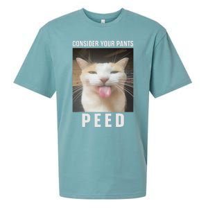 Funny Consider Your Pants Peed Silly Cat Meme Sueded Cloud Jersey T-Shirt