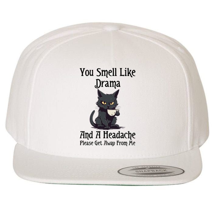 Funny Cat You Smell Like Drama And A Headache Wool Snapback Cap