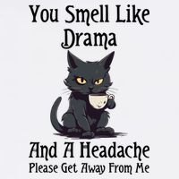 Funny Cat You Smell Like Drama And A Headache Wool Snapback Cap