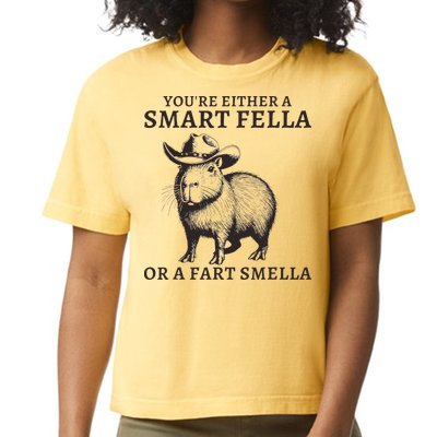 Funny Capybara YouRe Either A Smart Fella Or A Fart Smella Comfort Colors Boxy T-Shirt
