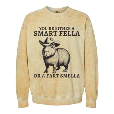 Funny Capybara YouRe Either A Smart Fella Or A Fart Smella Colorblast Crewneck Sweatshirt