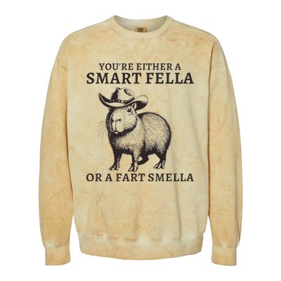 Funny Capybara YouRe Either A Smart Fella Or A Fart Smella Colorblast Crewneck Sweatshirt