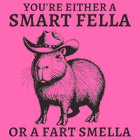 Funny Capybara YouRe Either A Smart Fella Or A Fart Smella Stripe Pom Pom Beanie