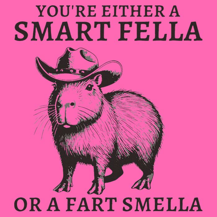 Funny Capybara YouRe Either A Smart Fella Or A Fart Smella Stripe Pom Pom Beanie