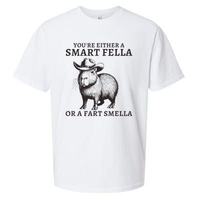 Funny Capybara YouRe Either A Smart Fella Or A Fart Smella Sueded Cloud Jersey T-Shirt