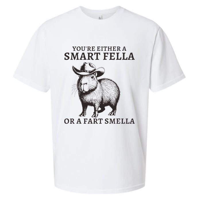Funny Capybara YouRe Either A Smart Fella Or A Fart Smella Sueded Cloud Jersey T-Shirt