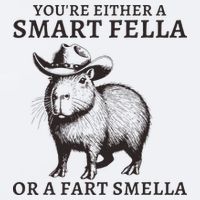 Funny Capybara YouRe Either A Smart Fella Or A Fart Smella Sueded Cloud Jersey T-Shirt