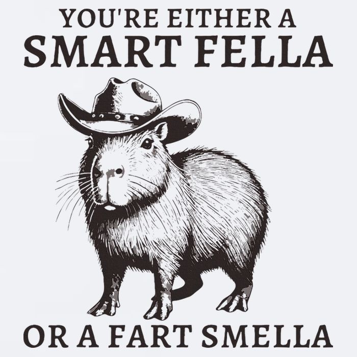 Funny Capybara YouRe Either A Smart Fella Or A Fart Smella Sueded Cloud Jersey T-Shirt