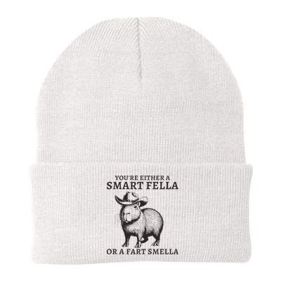 Funny Capybara YouRe Either A Smart Fella Or A Fart Smella Beanie