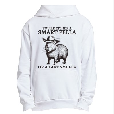 Funny Capybara YouRe Either A Smart Fella Or A Fart Smella Urban Pullover Hoodie