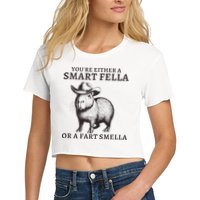 Funny Capybara YouRe Either A Smart Fella Or A Fart Smella Crop Top