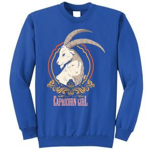 Funny Capricorn Zodiac Sign Horoscope Astrology Gift Sweatshirt