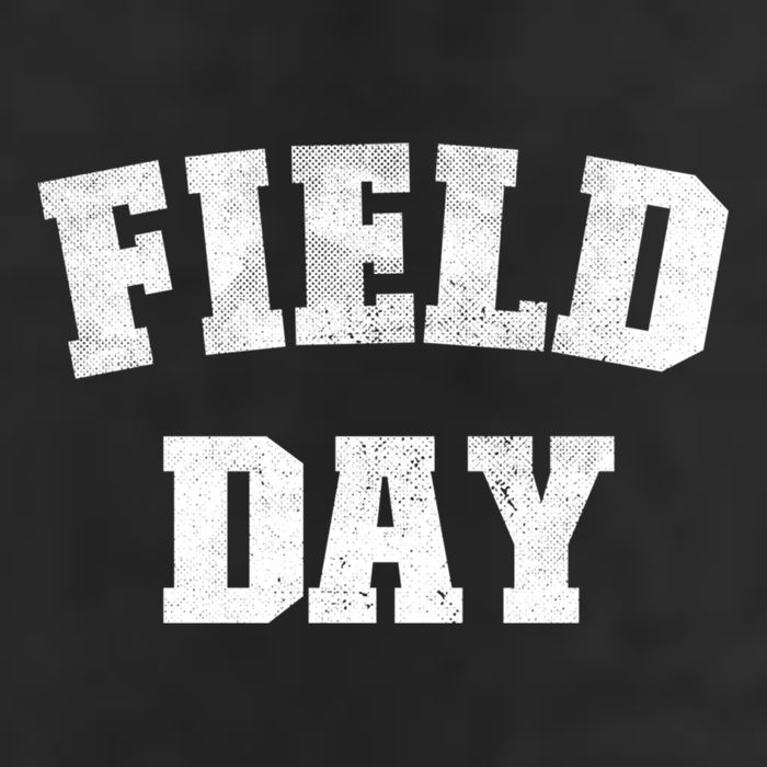 Field Day 2025 Matching Family Team Let Game Begin Gift Microfiber Hand Towel