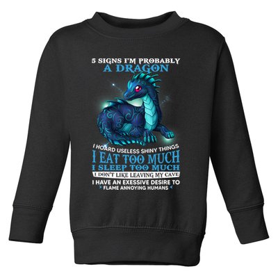 Funny Dragon 5 Signs I'm Probably A Dragon Toddler Sweatshirt