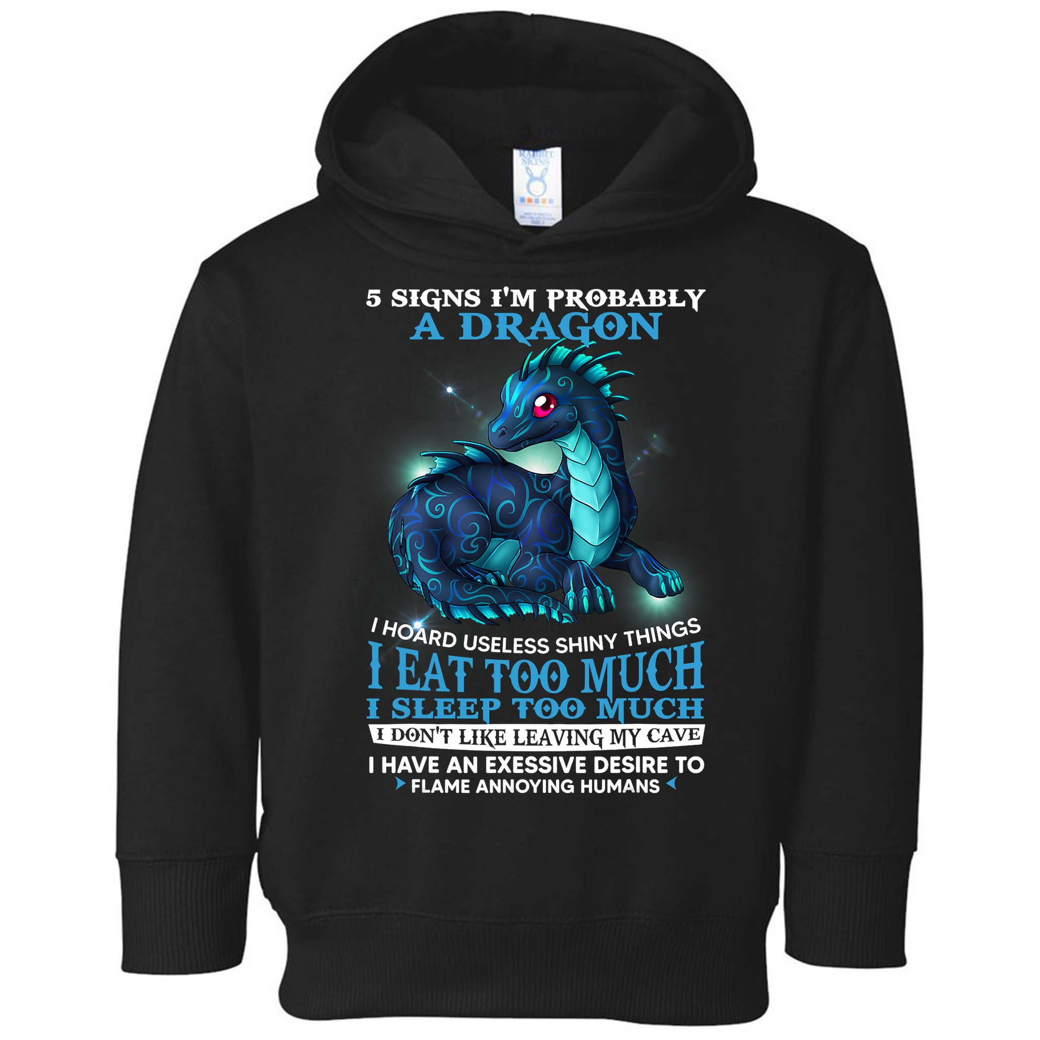 Funny Dragon 5 Signs I'm Probably A Dragon Toddler Hoodie