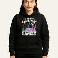 Funny Data Analyst Christmas Pun For Data Nerds Christmas 24 Hoodie