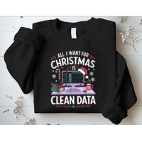 Funny Data Analyst Christmas Pun For Data Nerds Christmas 24 Sweatshirt
