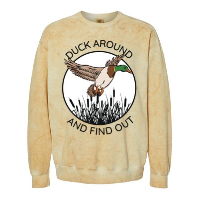 Funny Duck Around And Find Out Colorblast Crewneck Sweatshirt