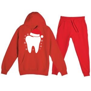 Funny Dental Assistant Christmas Tooth Dentist Gift Premium Hooded Sweatsuit Set