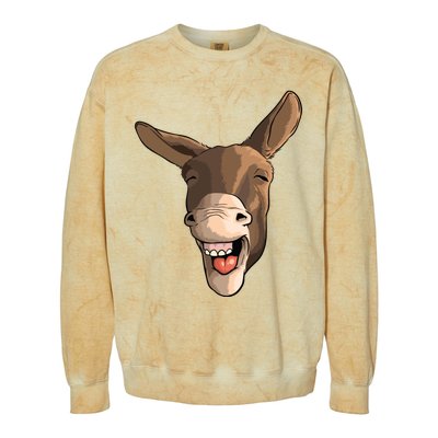 Funny Donkey Art For Donkey Lover Farm Animal Colorblast Crewneck Sweatshirt