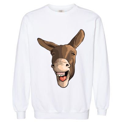 Funny Donkey Art For Donkey Lover Farm Animal Garment-Dyed Sweatshirt