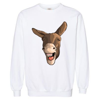 Funny Donkey Art For Donkey Lover Farm Animal Garment-Dyed Sweatshirt