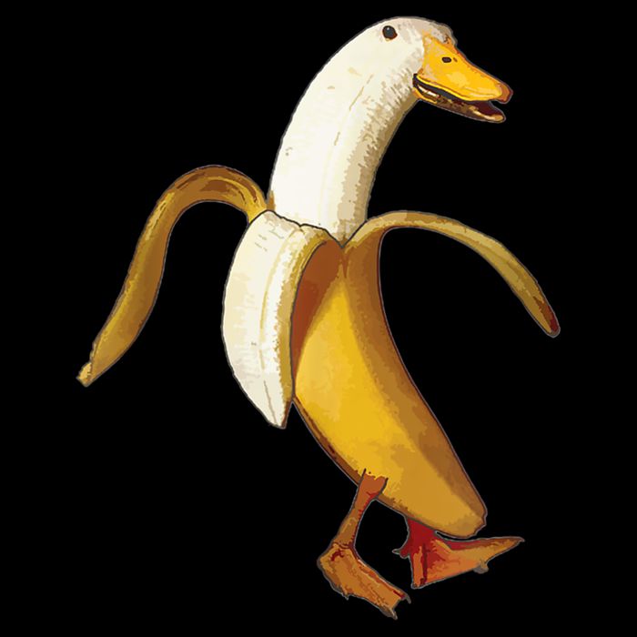 Funny Duck Banana Farm Animal Lover Backpack