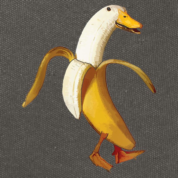 Funny Duck Banana Farm Animal Lover Cotton Canvas Backpack