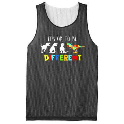 Funny Dinosaur Boy Its Ok To Be Different Gift Autism Awareness Mesh Reversible Basketball Jersey Tank