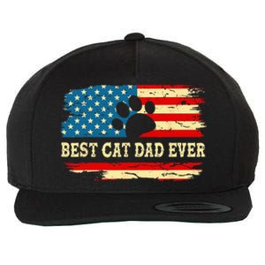 Fathers Day Best Cat Dad Ever Retro US American Flag Cat Dad Wool Snapback Cap