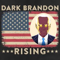 Funny Dark Brandon Is Rising Pro Biden USA Flag Hat