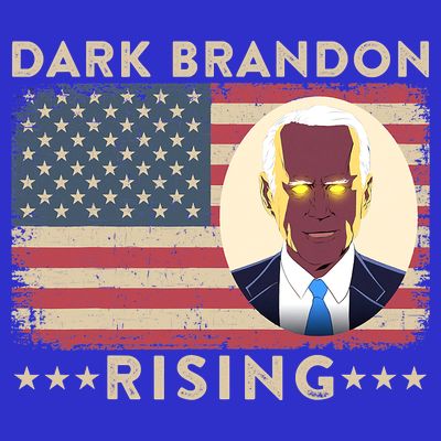 Funny Dark Brandon Is Rising Pro Biden USA Flag T-Shirt