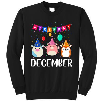 Funny December Birthday Sweatshirt