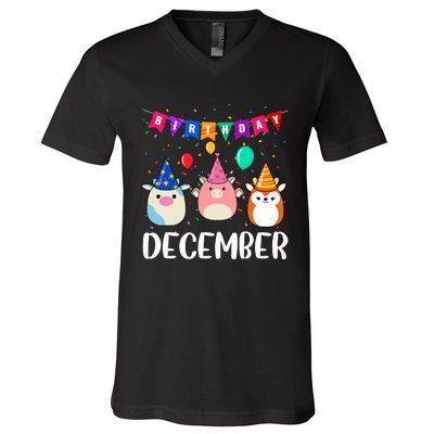 Funny December Birthday V-Neck T-Shirt