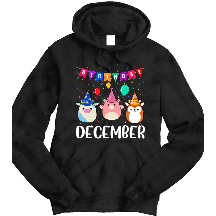 Funny December Birthday Tie Dye Hoodie