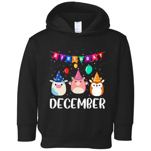 Funny December Birthday Toddler Hoodie