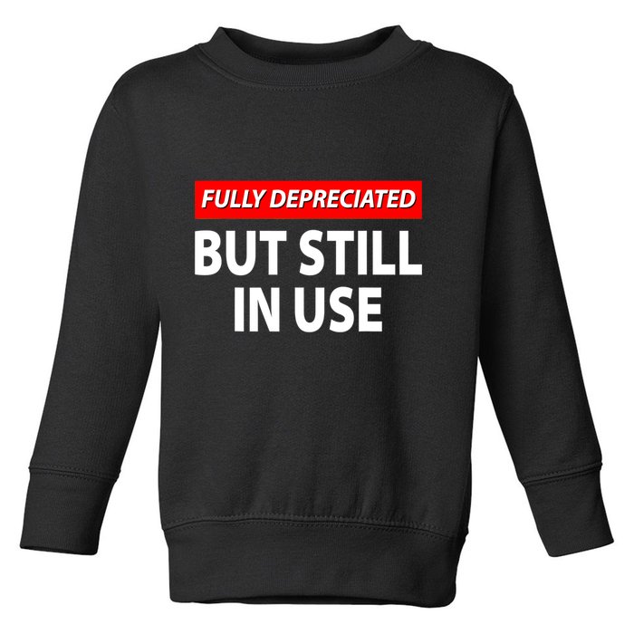 Fully Depreciated But Still In Use Funny Accounting Quote Toddler Sweatshirt