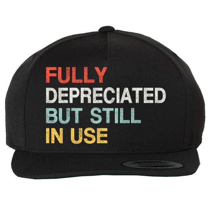 Fully Depreciated But Still In Use Funny Accounting Quote Wool Snapback Cap