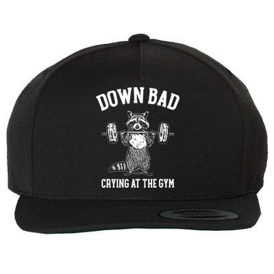 Funny Down Bad Crying At The Gym Racoon Meme Gift Wool Snapback Cap