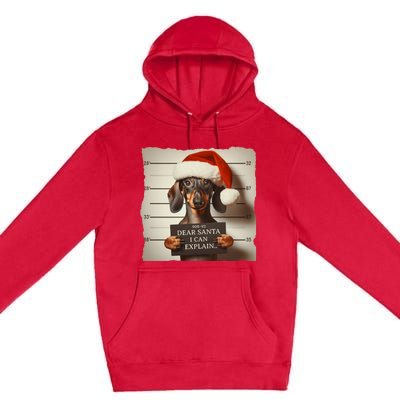 Funny Dachshund Christmas Dear Santa I Can Explain Weiner Premium Pullover Hoodie