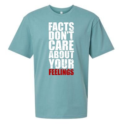 Facts Don't Care About Your Feelings Sueded Cloud Jersey T-Shirt