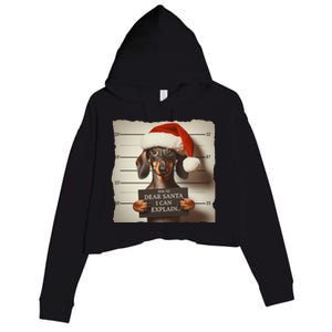 Funny Dachshund Christmas Dear Santa I Can Explain Weiner Gift Crop Fleece Hoodie