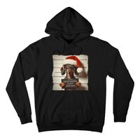 Funny Dachshund Christmas Dear Santa I Can Explain Weiner Hoodie