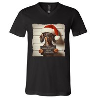 Funny Dachshund Christmas Dear Santa I Can Explain Weiner V-Neck T-Shirt