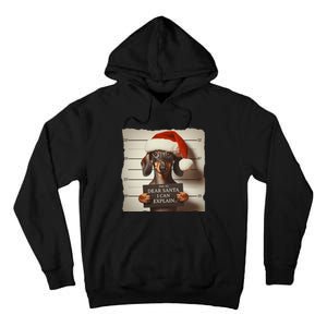 Funny Dachshund Christmas Dear Santa I Can Explain Weiner Tall Hoodie